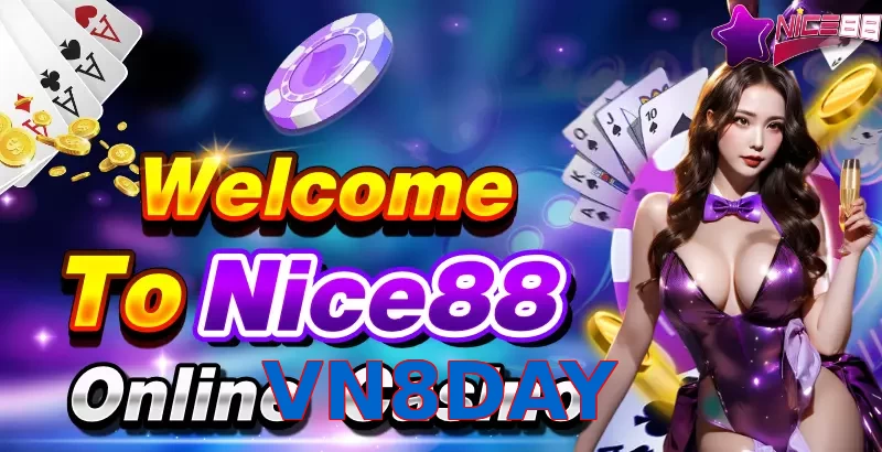 VN8DAY